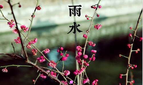 三顺丰跨境电商