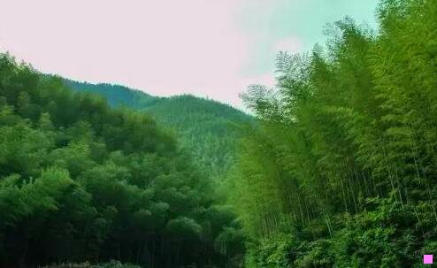 三河南省体育中心什么时候开放