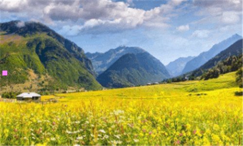 三雅居乐房地产开发招聘