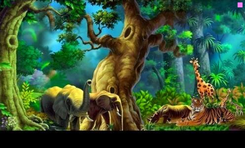 二藤代まゆ图片