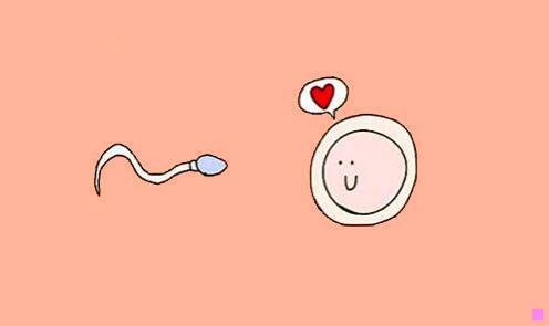 三苏菲是啥意思