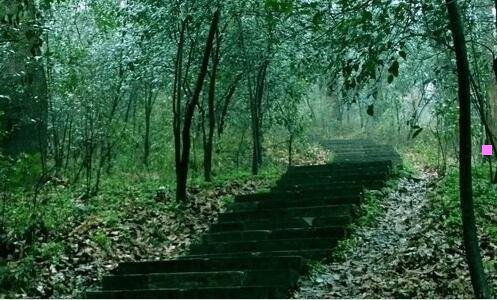 二香港深水埗很穷吗