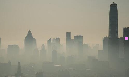 三野生黄连图片