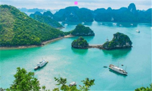 三良友集团与光明集团