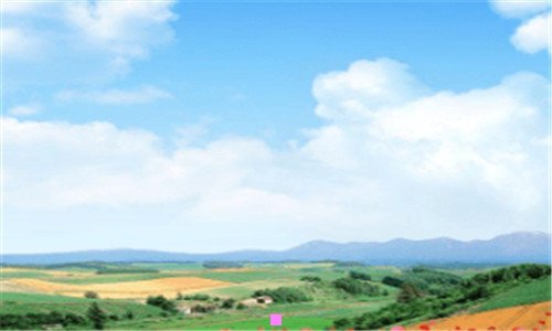 二河北蠡县第一大首富