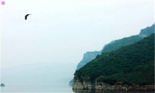 三衡水太平保险公司电话