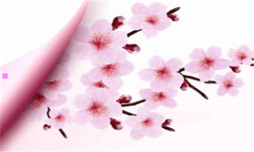 二扬州文峰寺最新消息
