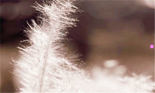 一沈阳今日天气预报