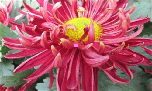 三全友家居联系方式