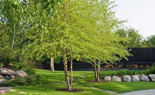 三中国著名四大战役