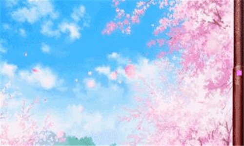 一纹身套袖