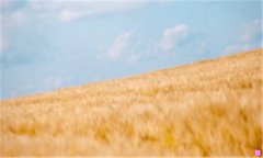 联通网上营业厅缴费-10010联通网上营业厅登录