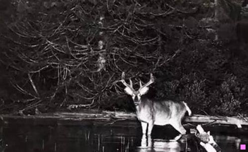 一hd4000相当于什么显卡