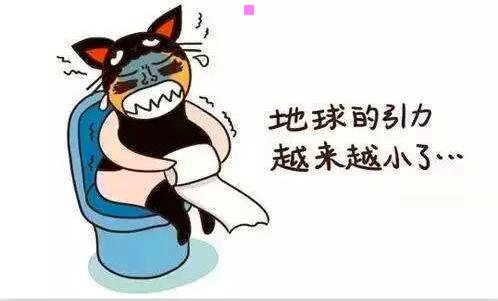 三虚拟拨号网络电话
