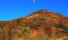 电脑风景壁纸-日系唯美动漫风景图片