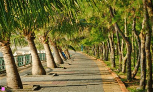 二10种地震逃生自救方法