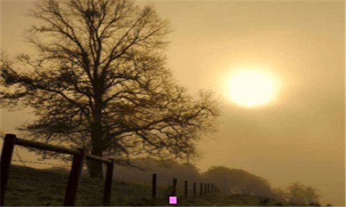 二寒食节的由来简介