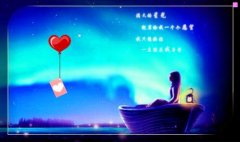 seo门户网-网站开发
