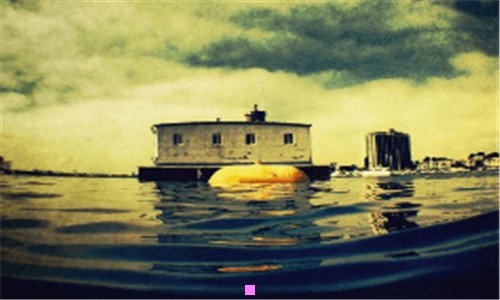 二奶粉真伪查询官方网站