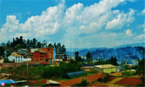 三新加坡当地新闻