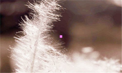 三天津婚庆车队价目表天津