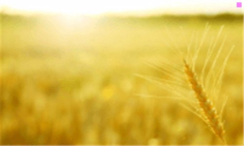 二峨边县旅游景点