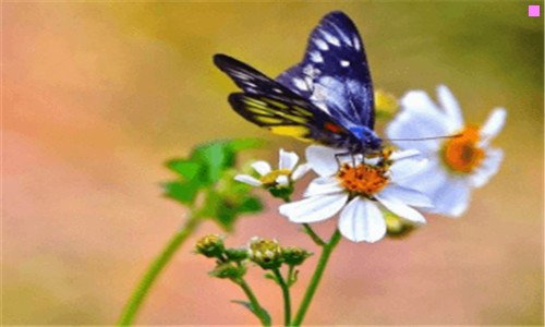 二广州公务员有多难考