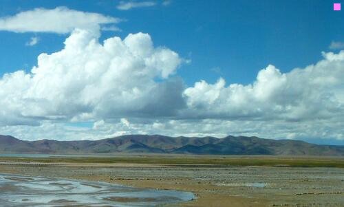 二蜡笔小新涂鸦王国在线观看