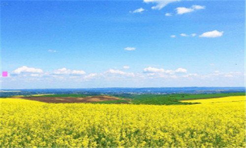 三飞信软件官方下载最新版