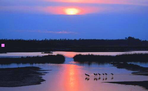 一天津机动车限行