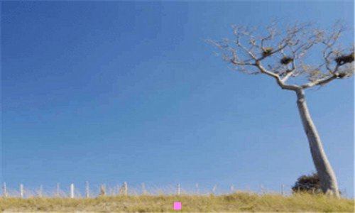 二农行金穗信用卡有年费吗