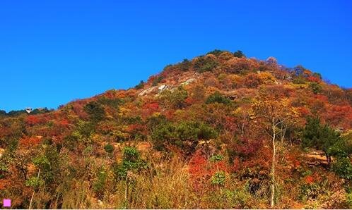 二12110加区号怎么加