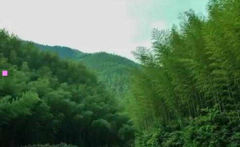三螺山电排站