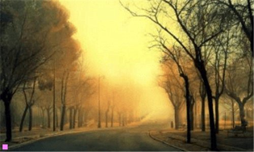 二新宿事件原案故事