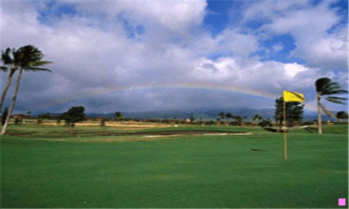 三新宿事件为什么会禁