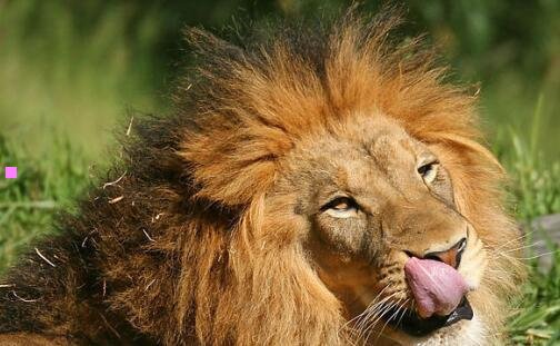 二宝马x1最新报价13万元