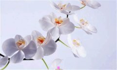 汽车理赔-汽车理赔流程