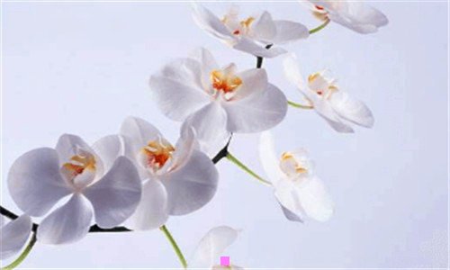 一汽车理赔