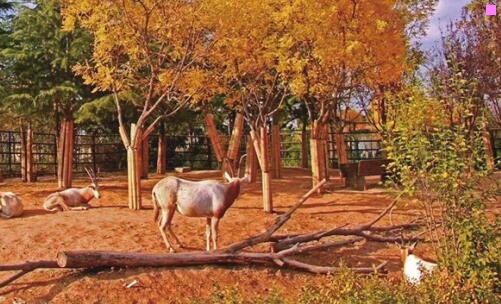 一南京到福州普通火车时刻表