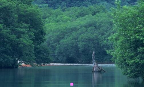 一lee牛仔裤怎么样