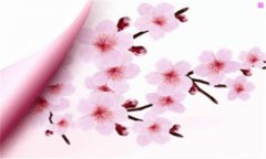 圣战士丹拜因-圣战士丹拜因 全机体