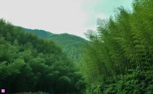 二城区是指