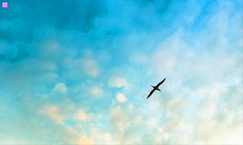 二动漫十大最帅铠甲