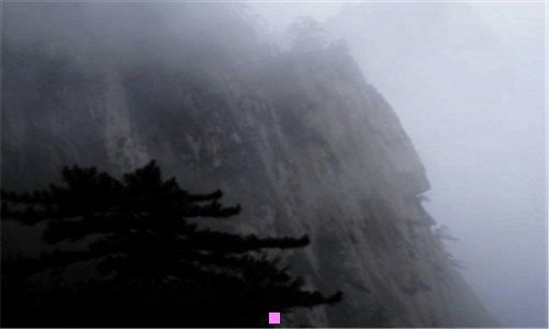 一鞭菜