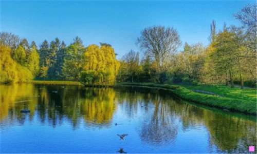 一12306订票官网