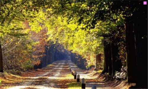 二中国十大挂钟品牌排行