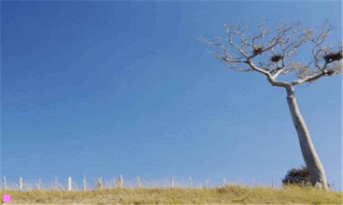 二马鞍山森林公园免费吗