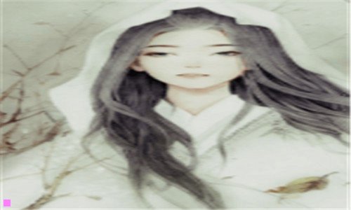 三合肥危机公关公司