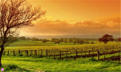 三直接进入唯品会官网