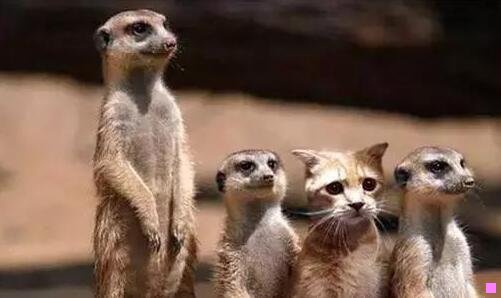 二郑州手机靓号出售